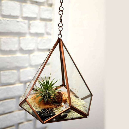hanging pyramidal terrarium (7.5in ht) 