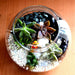 succulent globe terrarium (6in ht) 