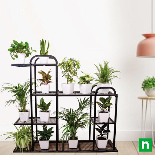transform home space receiving indirect light with houseplants on metal stand 