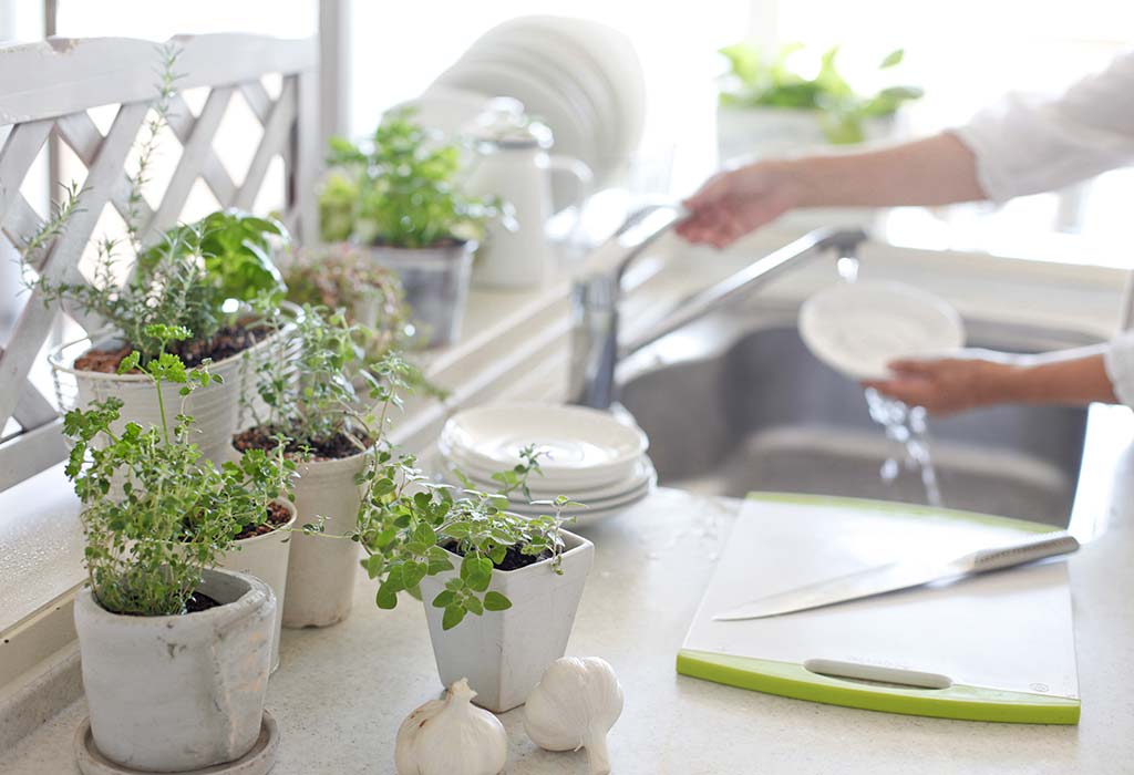 Top 10 Plants For Kitchen Garden | Nurserylive