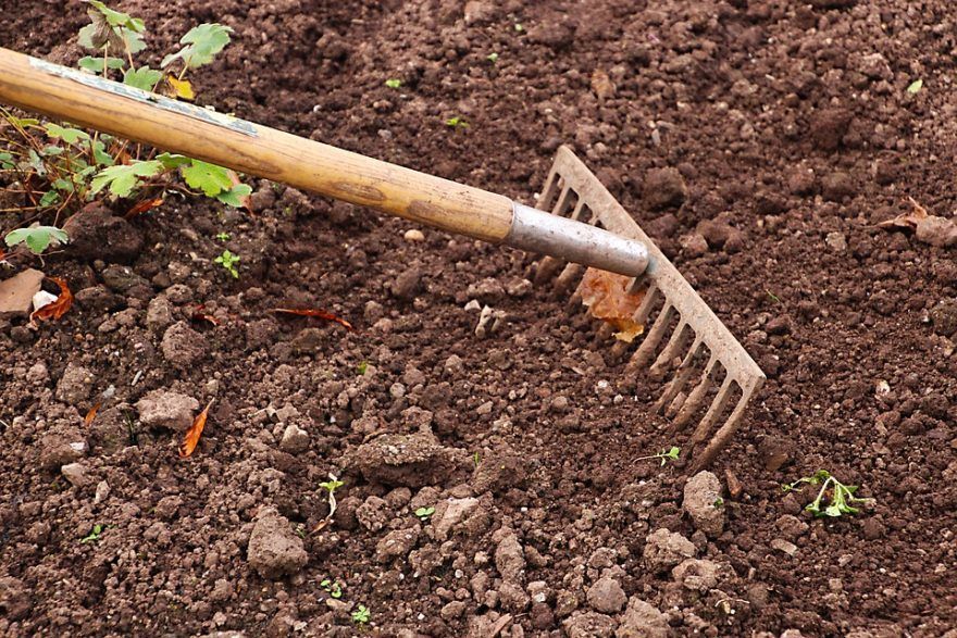 How to prepare best soil for a healthy garden? - Nurserylive