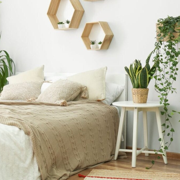 6 Ways To Bring Plants In Your Bedroom Decor