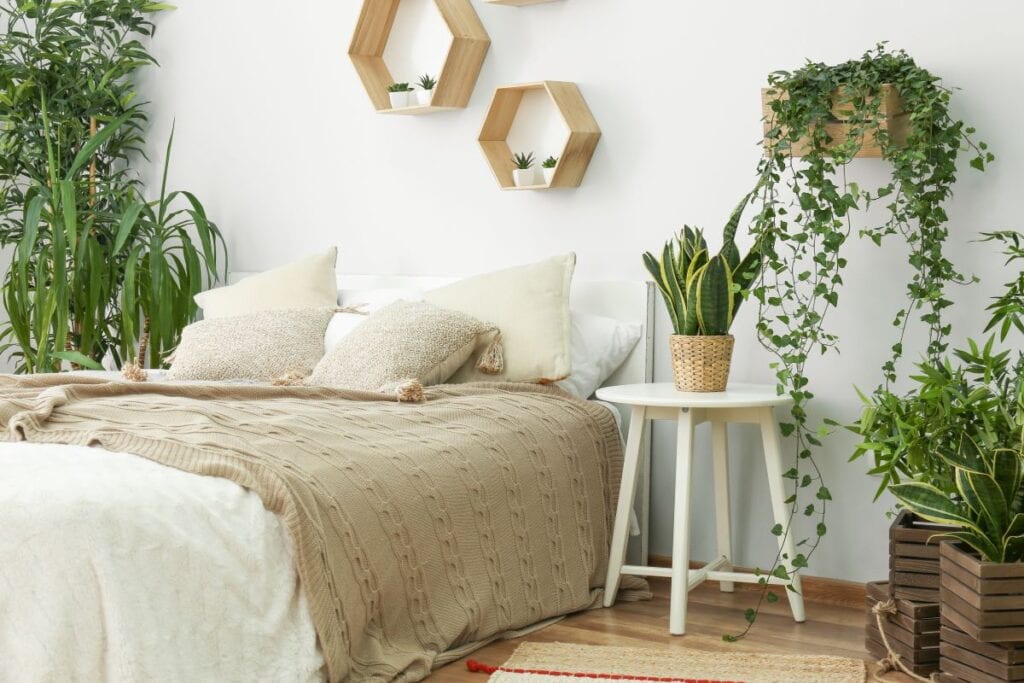 6 Ways To Bring Plants In Your Bedroom Decor