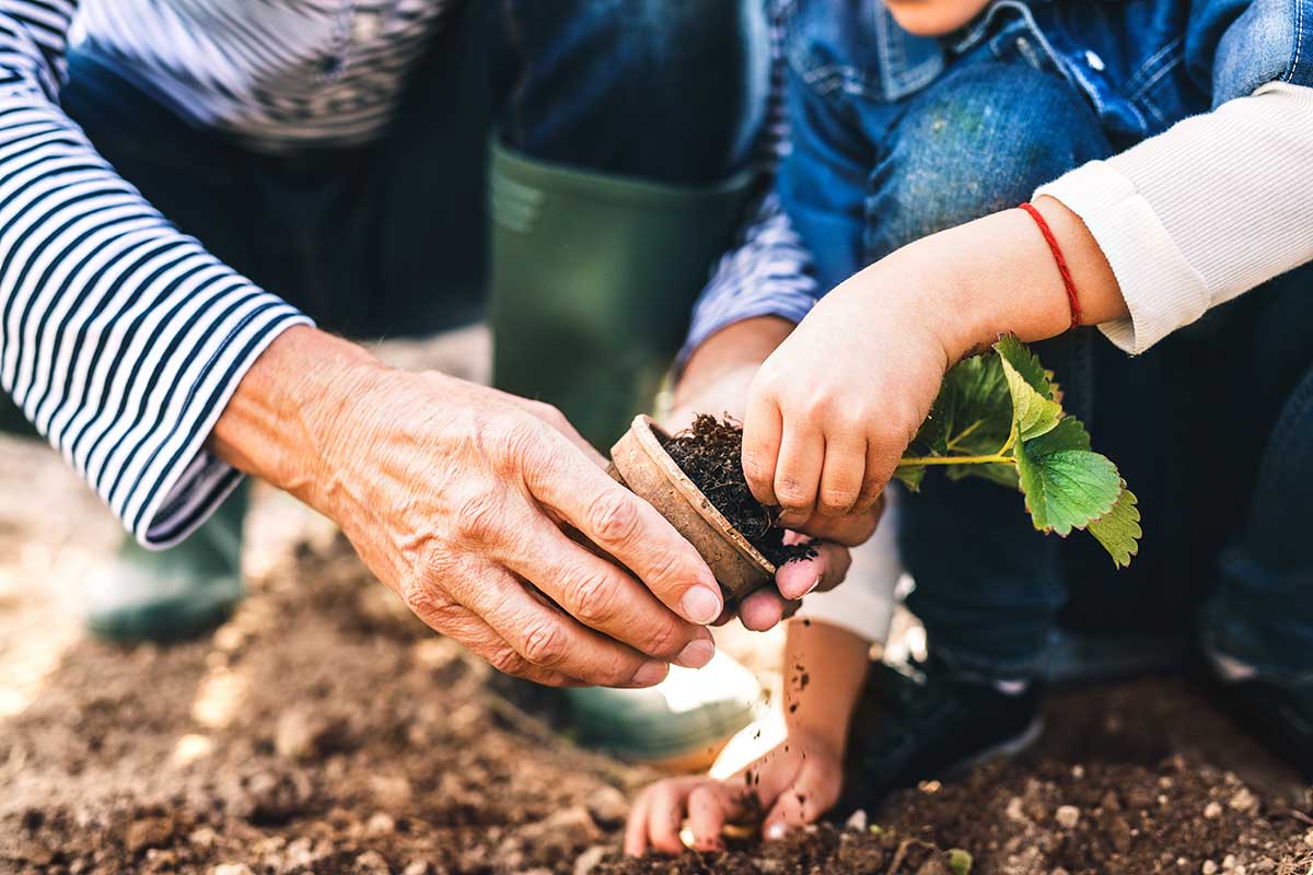 Gardening adds years to your life and life to your years - Nurserylive