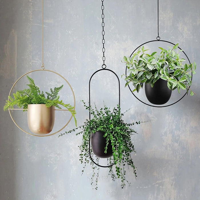 8 Amazing DIY Hanging Planter Ideas To Add To Your Garden