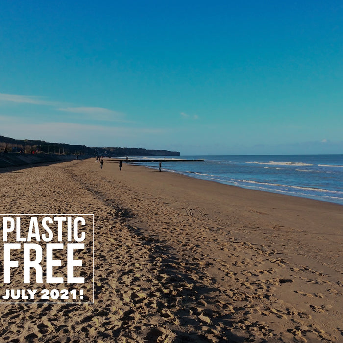 6 Ways To Make It A Plastic Free July 2021 !