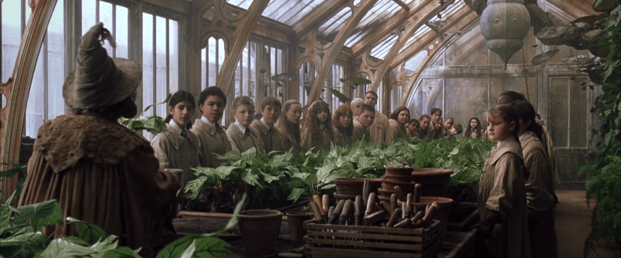 Gurdyroot Herbology 101 – 5 enchanting plants from the Wizarding World of Harry ...