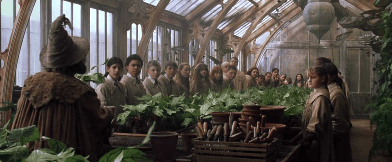 Herbology 101 ‚Äì 5 enchanting plants from the Wizarding World of Harry Potter - Nurserylive