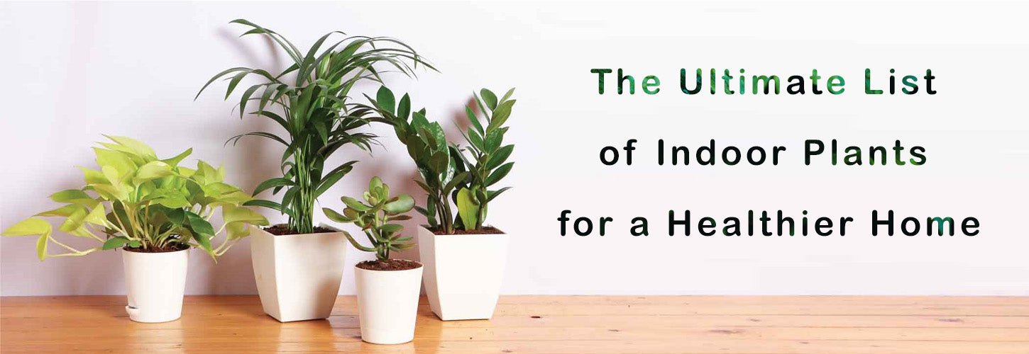 The Ultimate List of Indoor Plants for a Healthier Home