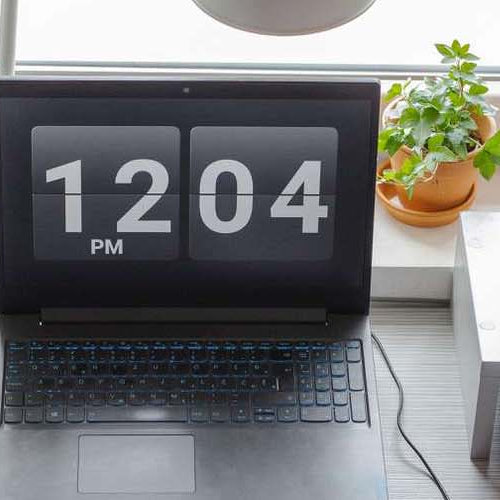 The Power of Plants in Your Office Oasis