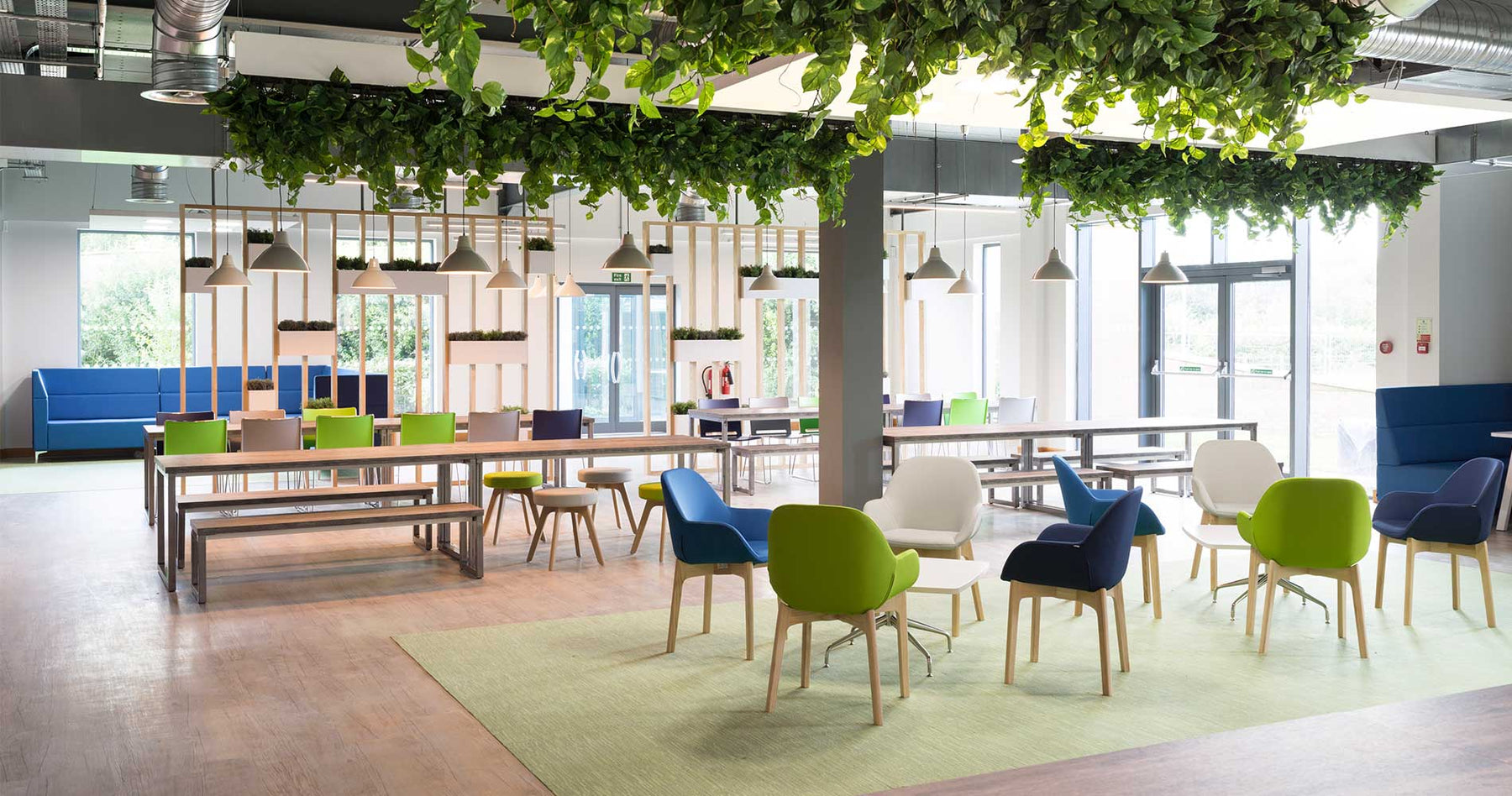 Plantscaping (1/4) - How top co-working spaces are modernizing the workplace - Nurserylive
