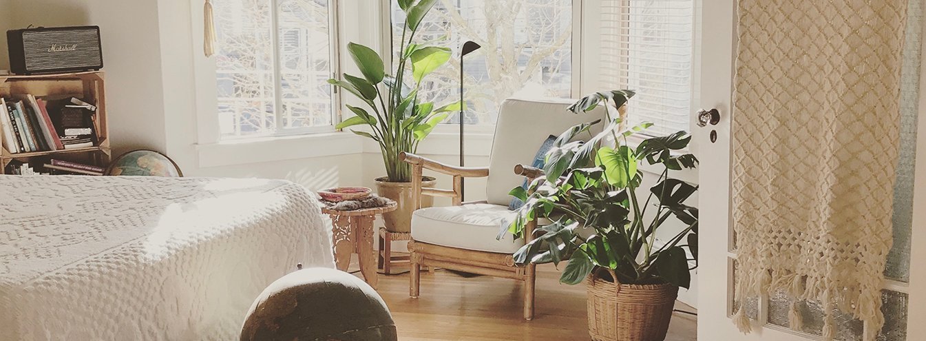 These 7 Plants In Your Bedroom Will Help You Sleep Better! | Nurserylive