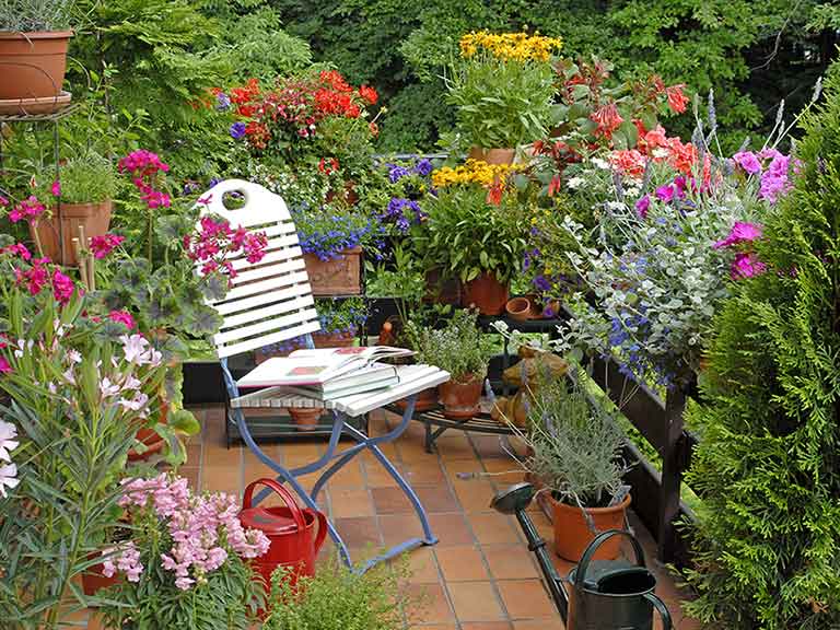 6 Pocket-friendly ideas to jazz up your balcony garden