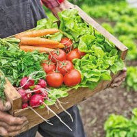 Benefits of eating fresh homegrown vegetables