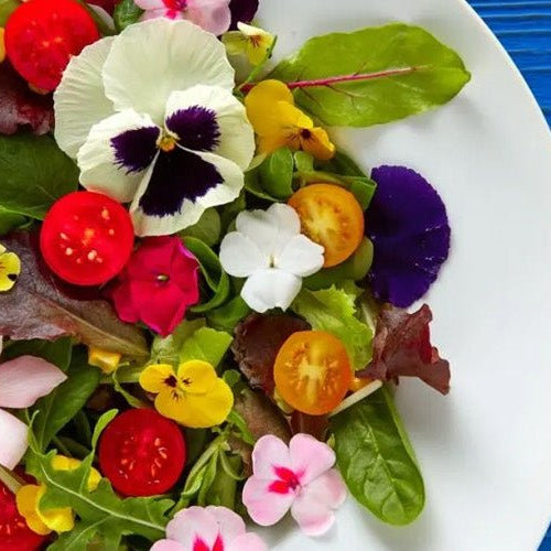 Did you know these 25 flowers can be eaten as food? - Nurserylive