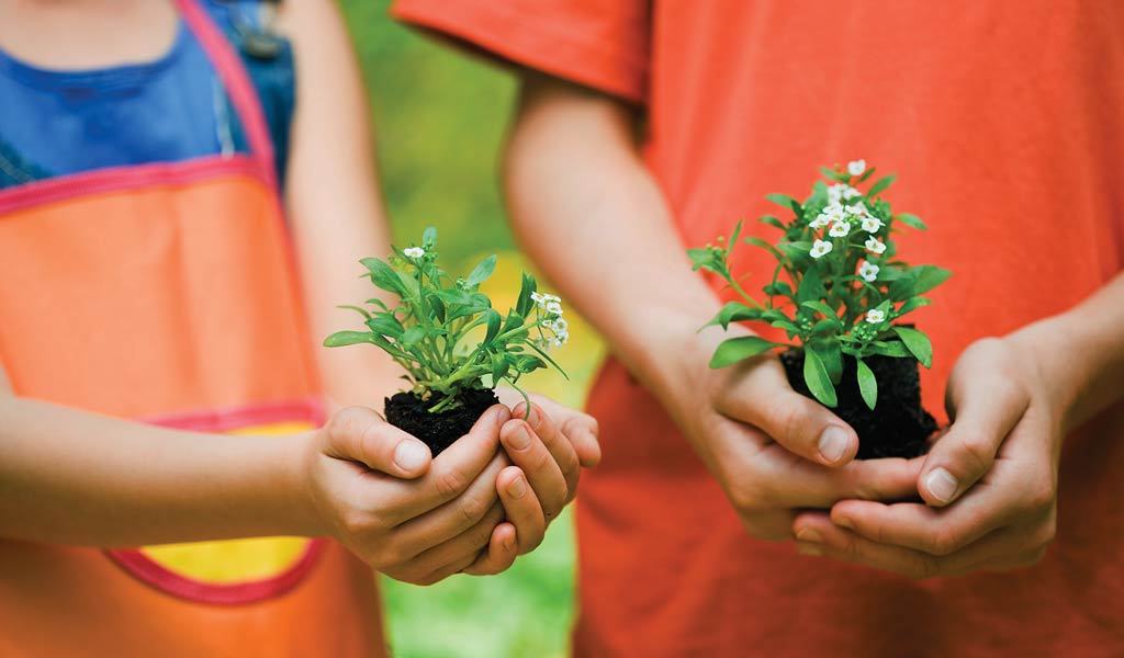 Gardening for Kids ‚Äì Six values that are reinforced when taking care of a ‚ÄòPlant Buddy‚Äô (1/3) - Nurserylive