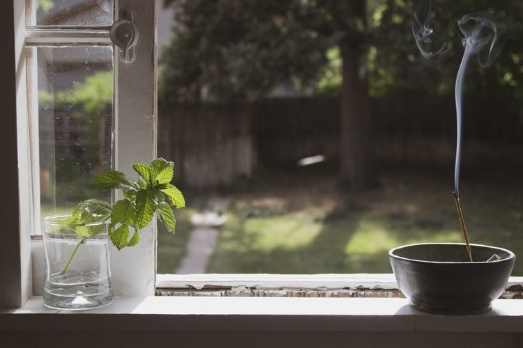 Top 10 Sacred Plants To Strengthen Your Faith