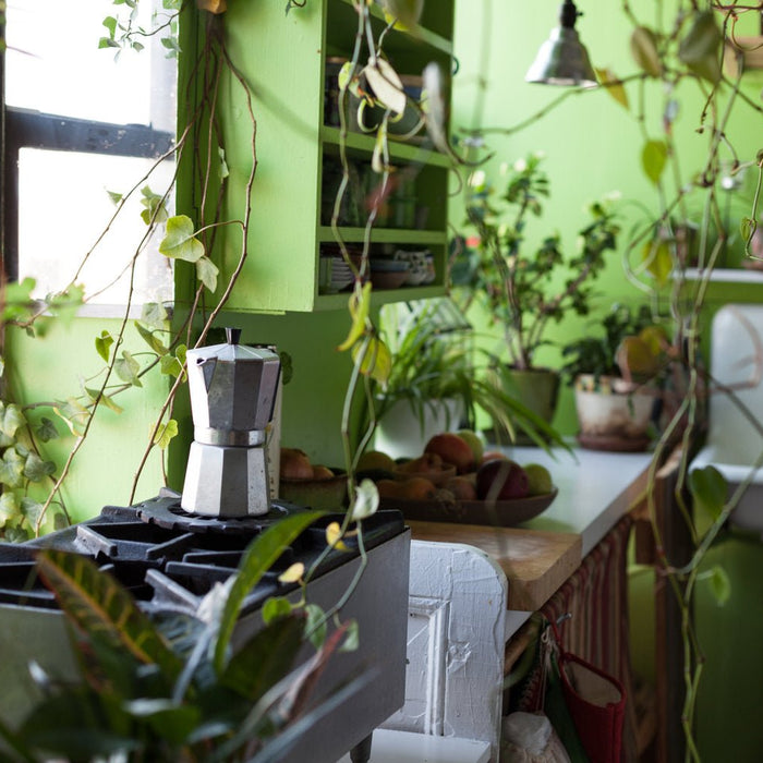 These 12 practices could be killing your plants