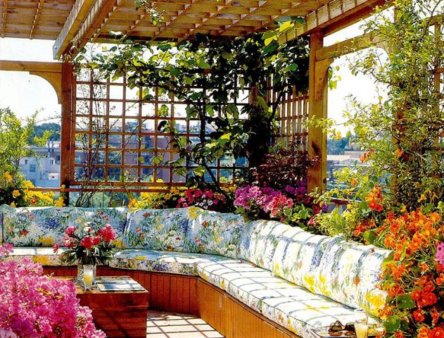 Top 10 Plants To Beautify Your Terrace Garden