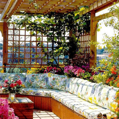 Top 10 Plants To Beautify Your Terrace Garden