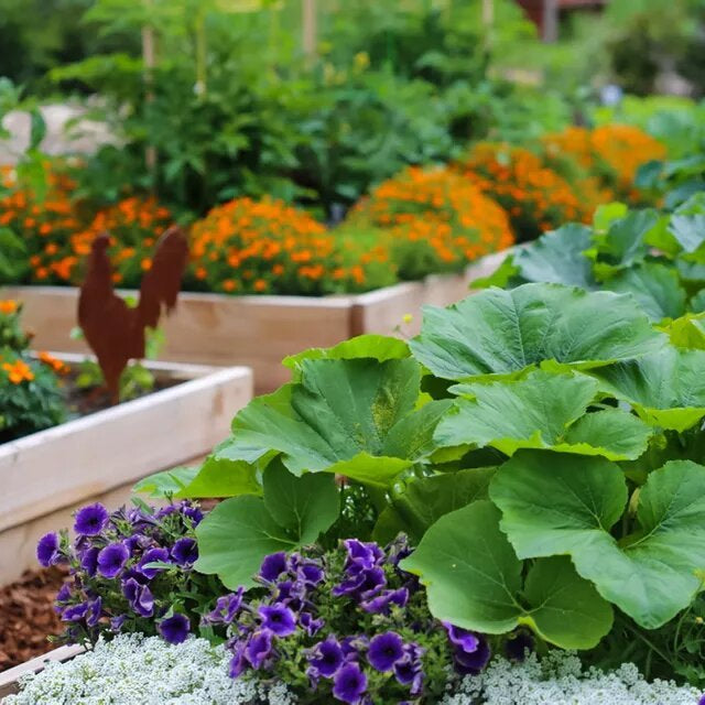 Your Most Common Gardening Queries Answered