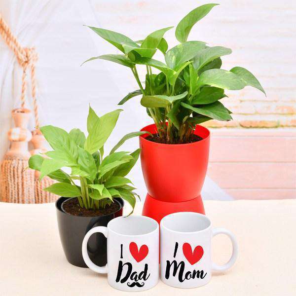 Plant Gifts For Parents