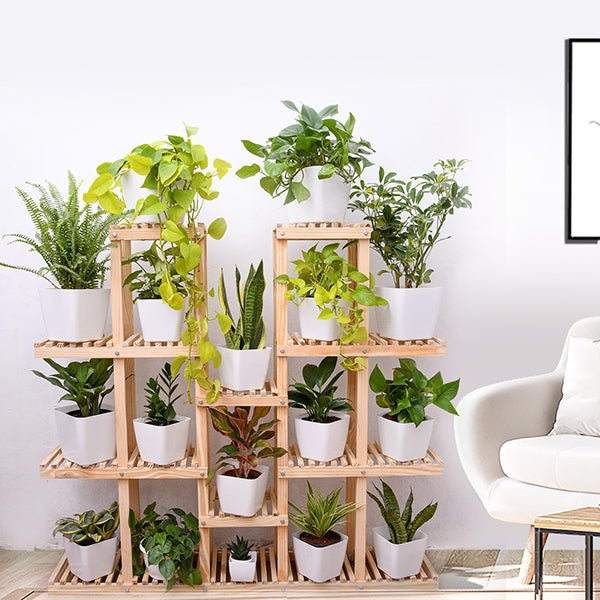 Indoor Garden - Nurserylive