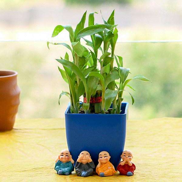 Plant Gifts For Kids