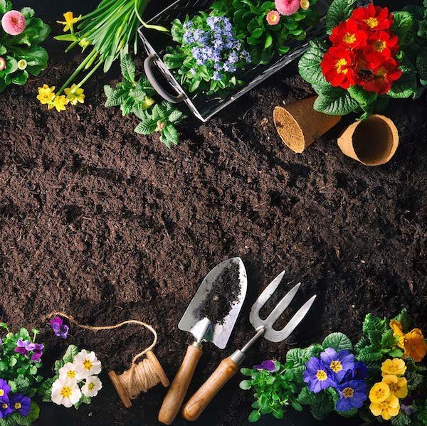 Nurserylive Best sellers