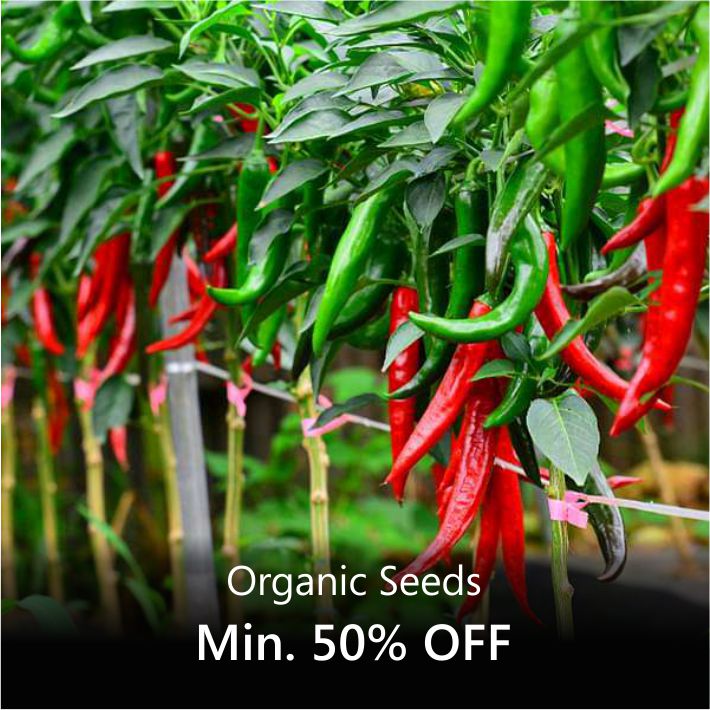 Buy Organic Seeds online from Nurserylive at lowest price.