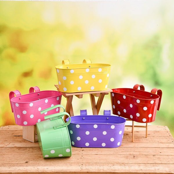 Oval Planters - Nurserylive