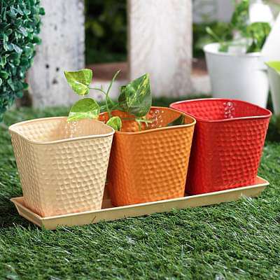 Planters by Location