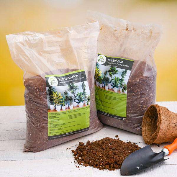 Type-Soil and Fertiliser - Nurserylive