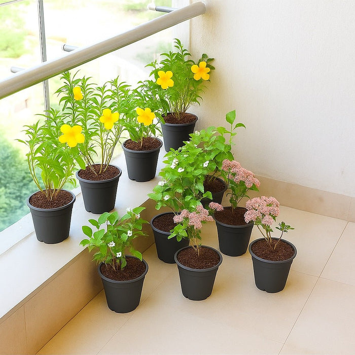 Beautiful Flower Garden in a Balcony