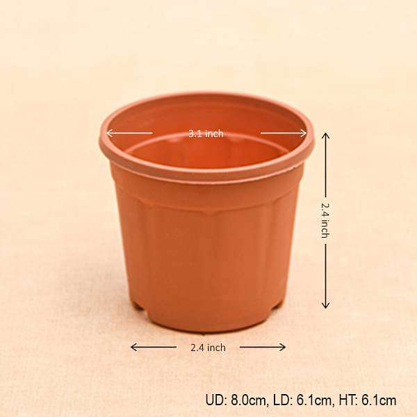 3 inch (8 cm) Grower Round Plastic Pot