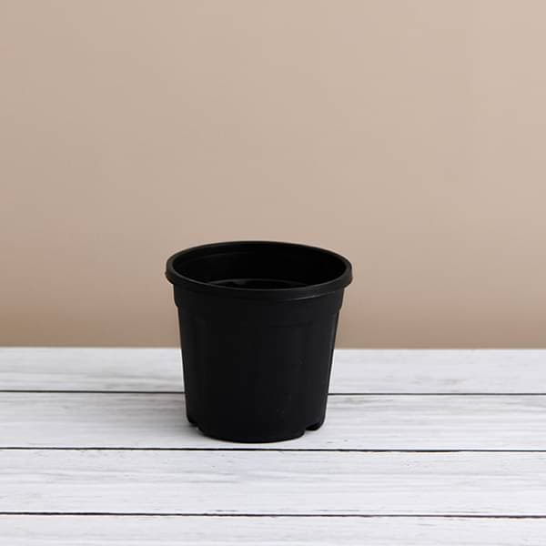 6 inch Grower Round Plastic Pot Black (set of 3)