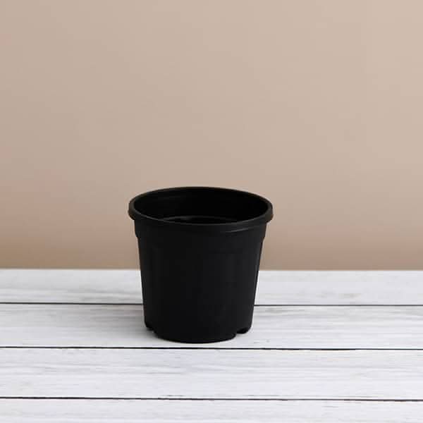 6 inch Grower Round Plastic Pot Black (set of 6)
