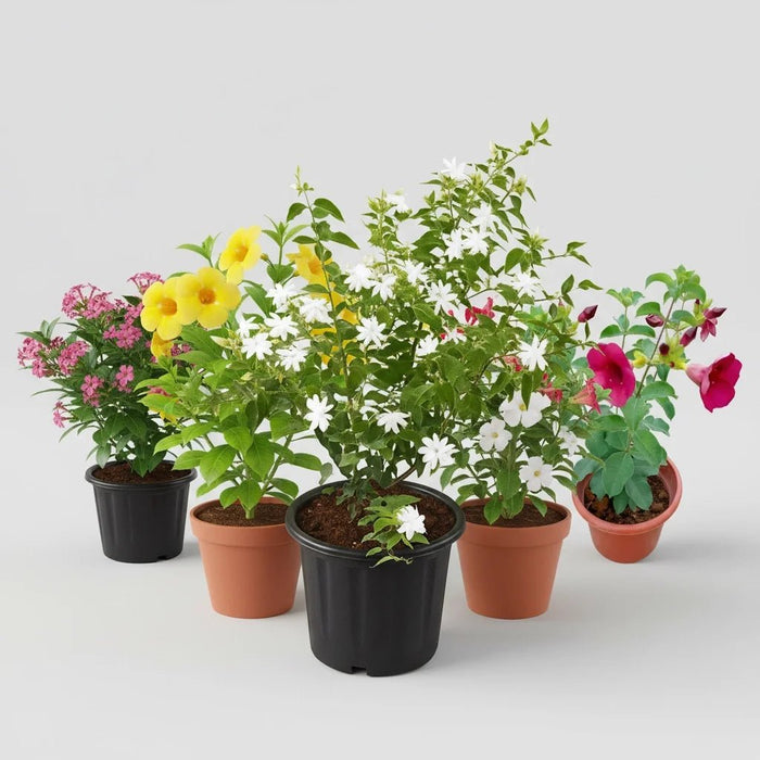 Top 5 Monsoon Special Flowering Plants