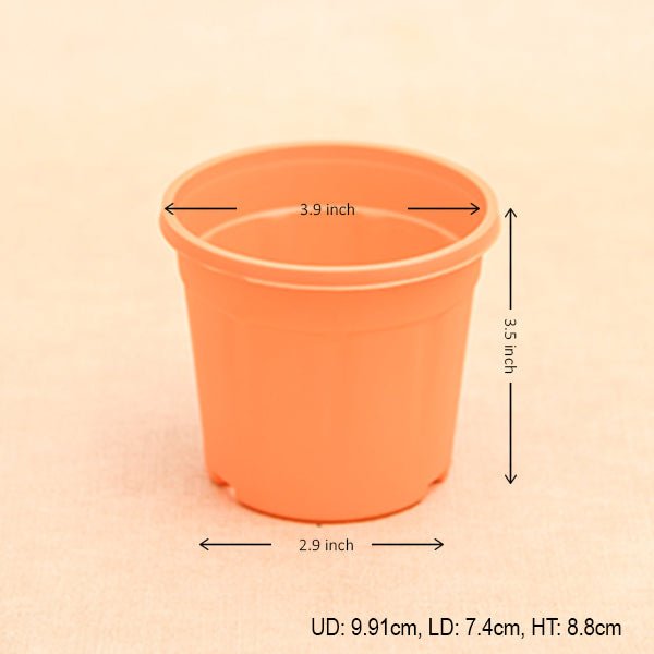 4 litre plant pot size Buy 4 inch (10 cm) Grower Round Plastic Pot online from Nurserylive at lowest price