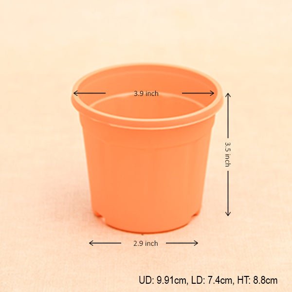 4 inch (10 cm) Grower Round Plastic Pot