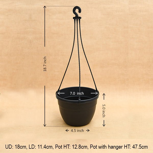 7.1 inch (18 cm) Corsica No. 18 Hanging Round Plastic Pot