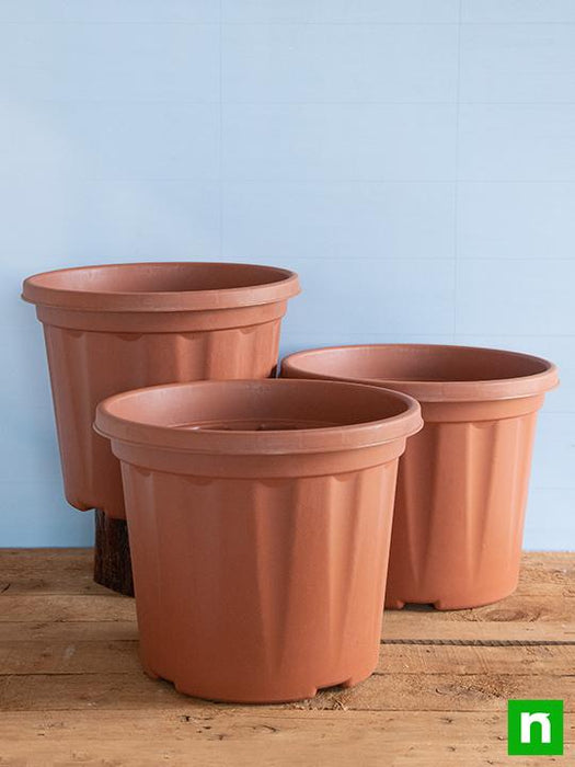 12 inch plastic pots for plants Buy 12 inch (30 cm) Grower Round Plastic Pot (Terracotta Color) (set of 3) online from Nurserylive at lowest price
