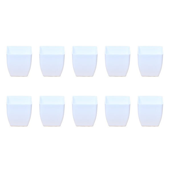 3.3 inch (8 cm) Square Plastic Planter with Rounded Edges (Set of 10)(White)