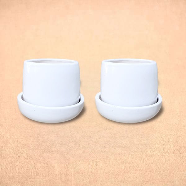 3.5 inch (8 cm) Jar Shape Round Ceramic Pot with Plate (Set of 2)(White)