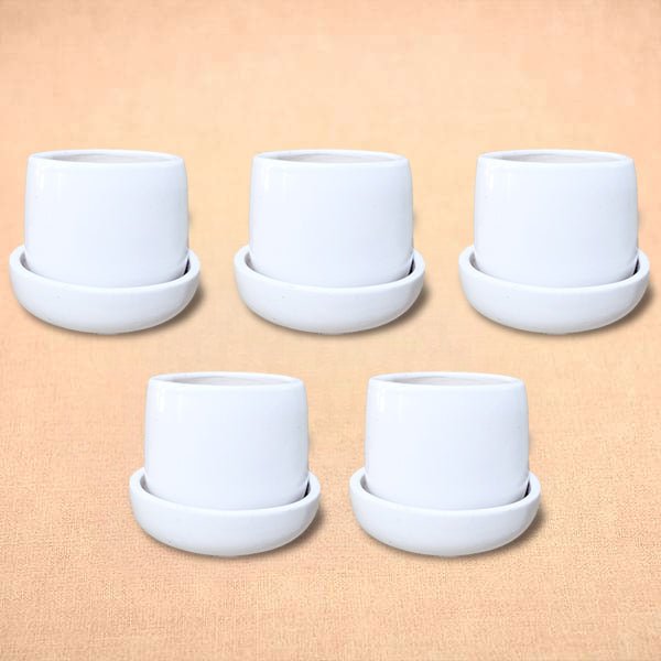 3.5 inch (8 cm) Jar Shape Round Ceramic Pot with Plate (Set of 5)(White)