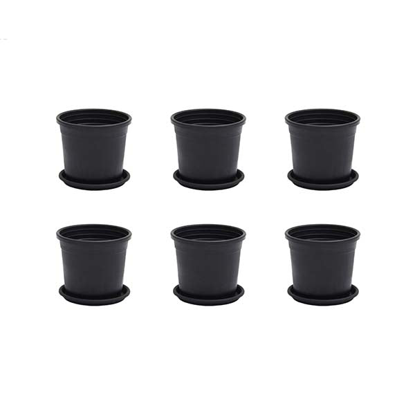 3 inch (8 cm) Grower Round Plastic Pot (Set fo 6)(Black)(With Plate)