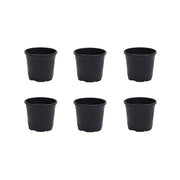 3 inch (8 cm) Grower Round Plastic Pot (Set fo 6)(Black)(Without Plate)