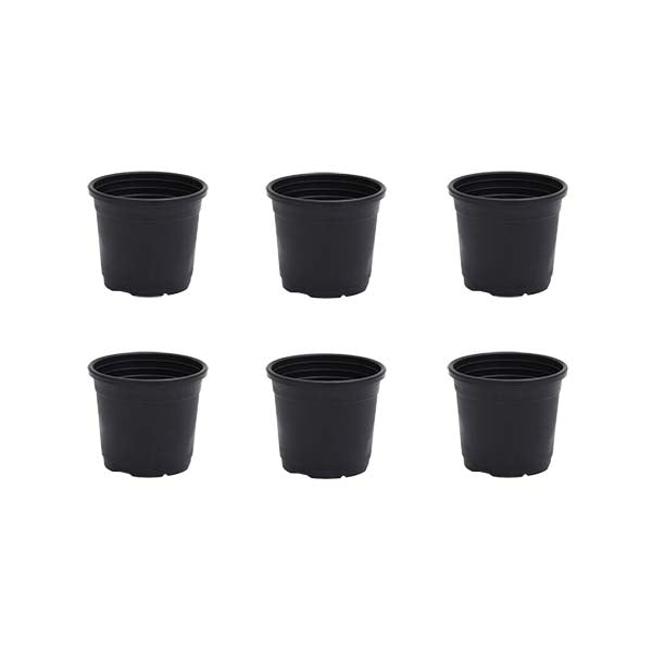 3 inch (8 cm) Grower Round Plastic Pot (Set fo 6)(Black)(Without Plate)