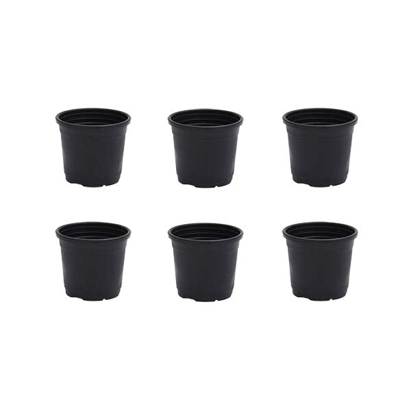 3 inch (8 cm) Grower Round Plastic Pot (Set fo 6)(Black)(Without Plate)