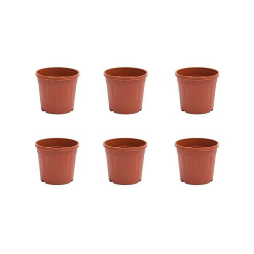 3 inch (8 cm) Grower Round Plastic Pot (Set fo 6)(Terracota)(Without Plate)